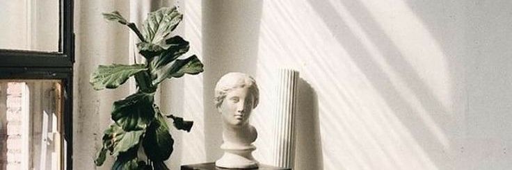 sarah banner