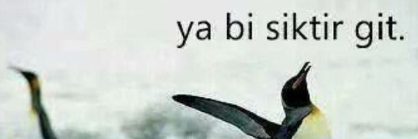 Atilla 𐱅𐰇𐰼𐰰's banner
