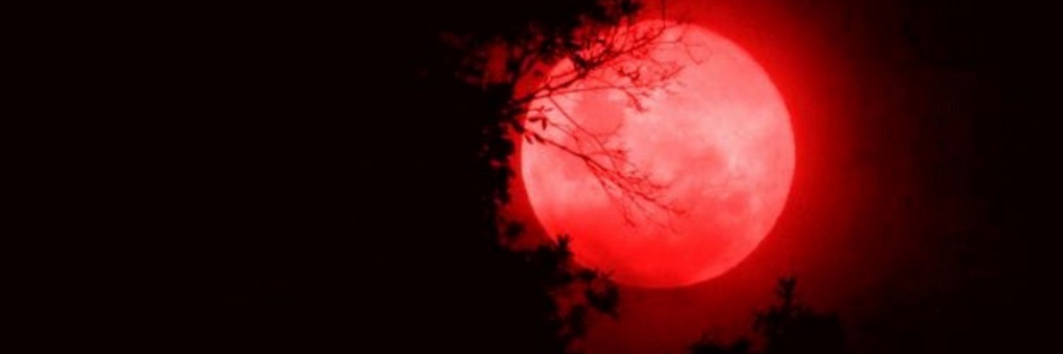 Leo 🩸 VIU MCR banner