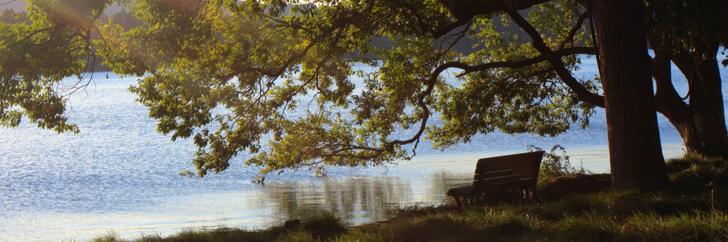 desjikyouknow's profile banner image