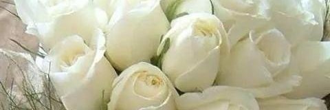 moha20557's profile banner image