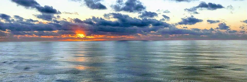 Rebecca Rogers banner