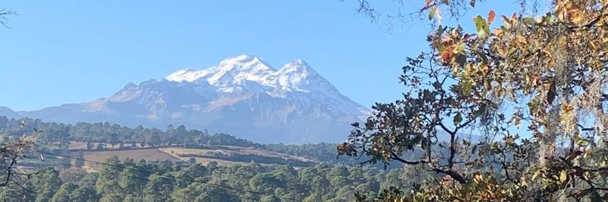 Alanxiavex's profile banner image