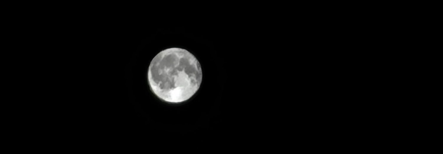 severinelove30's profile banner image
