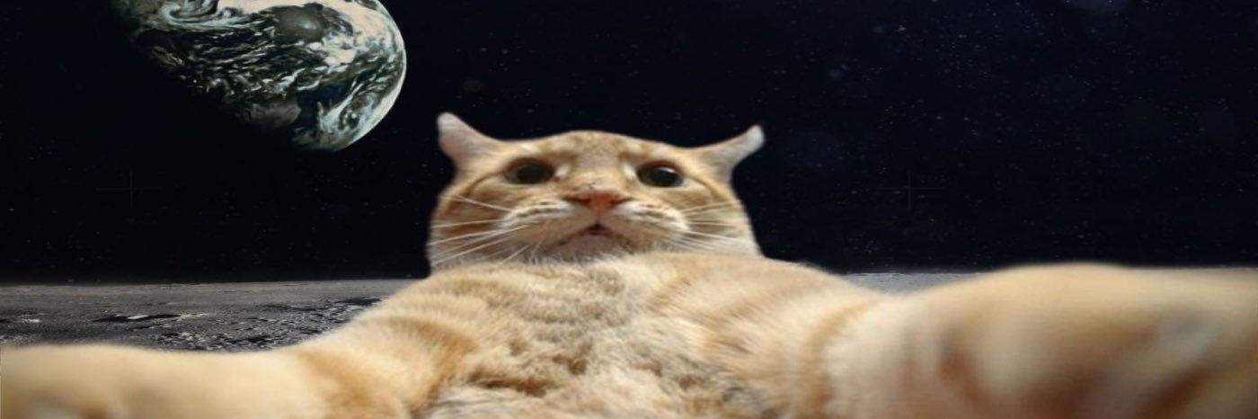 Kitzaforever's profile banner image