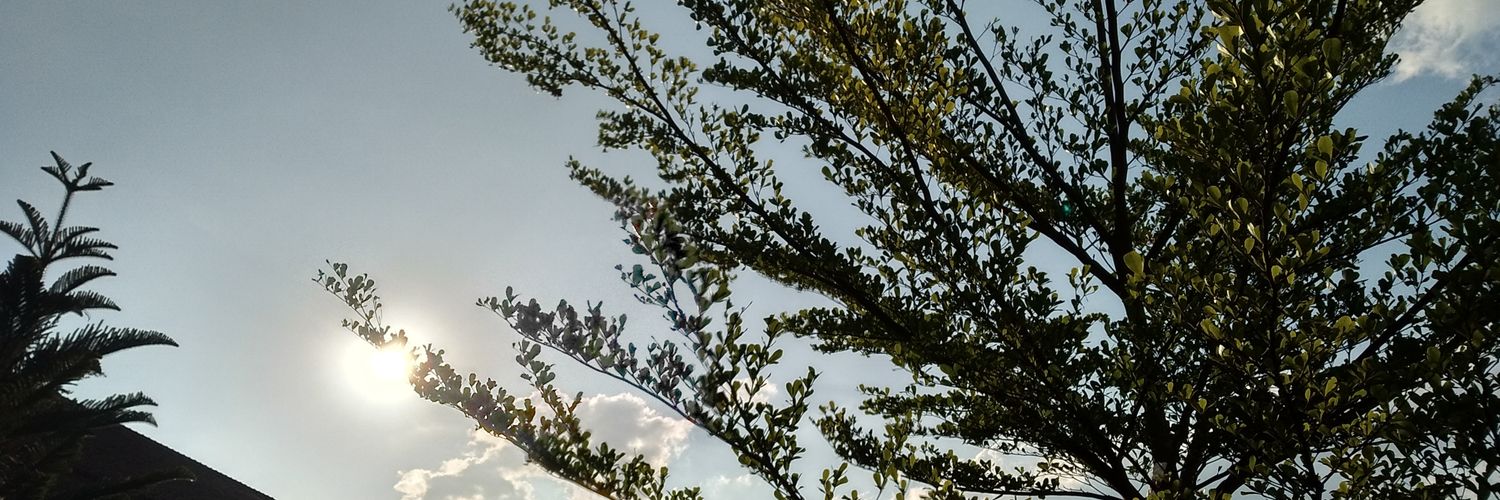 azzaraisa's profile banner image
