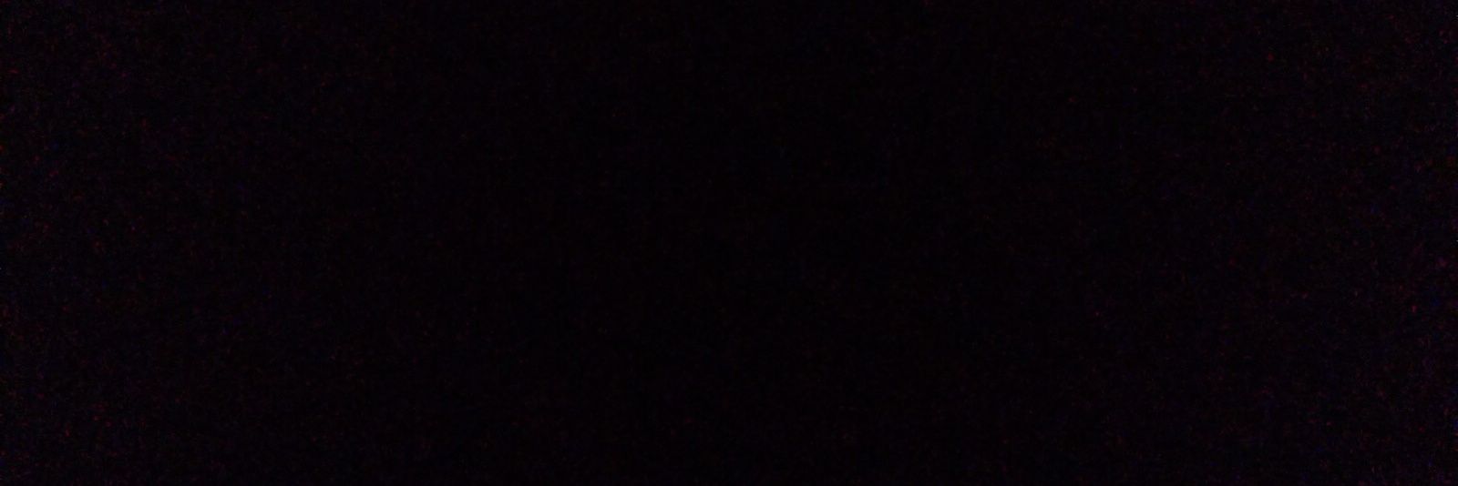 floerioana's profile banner image