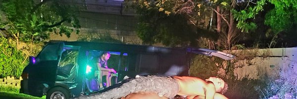 AlejandraPVarel Profile Banner