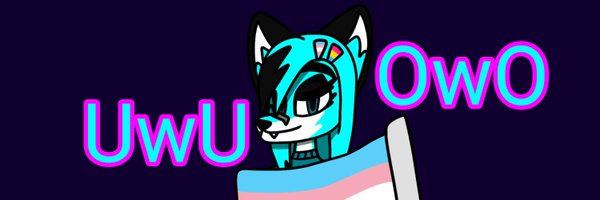 TCStealthyFoxxo Profile Banner