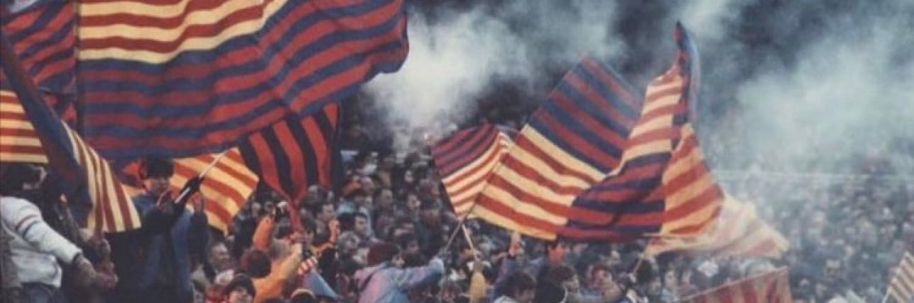 v__vv0's profile banner image