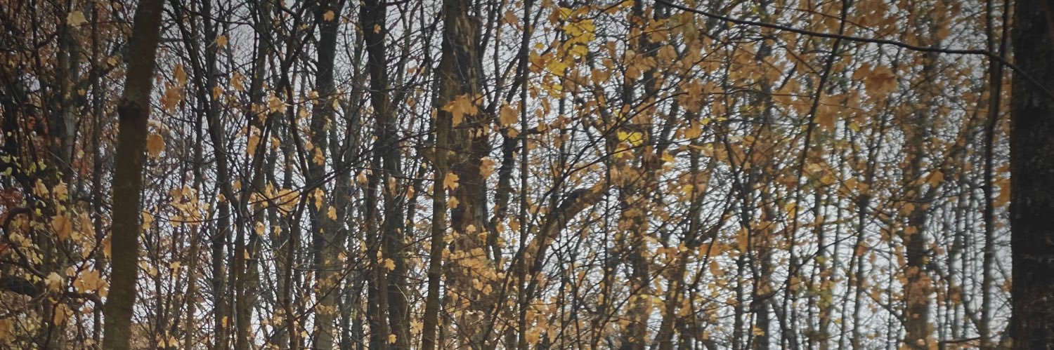 eric_hutchh's profile banner image