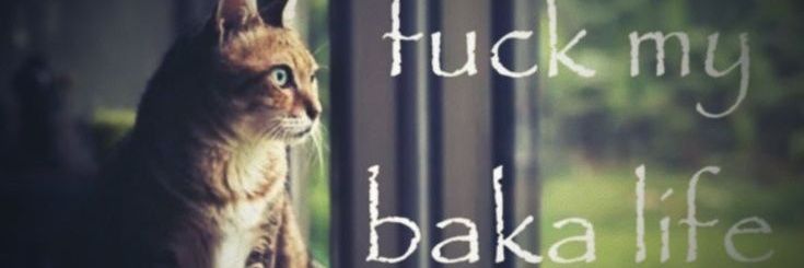 fioovc's profile banner image