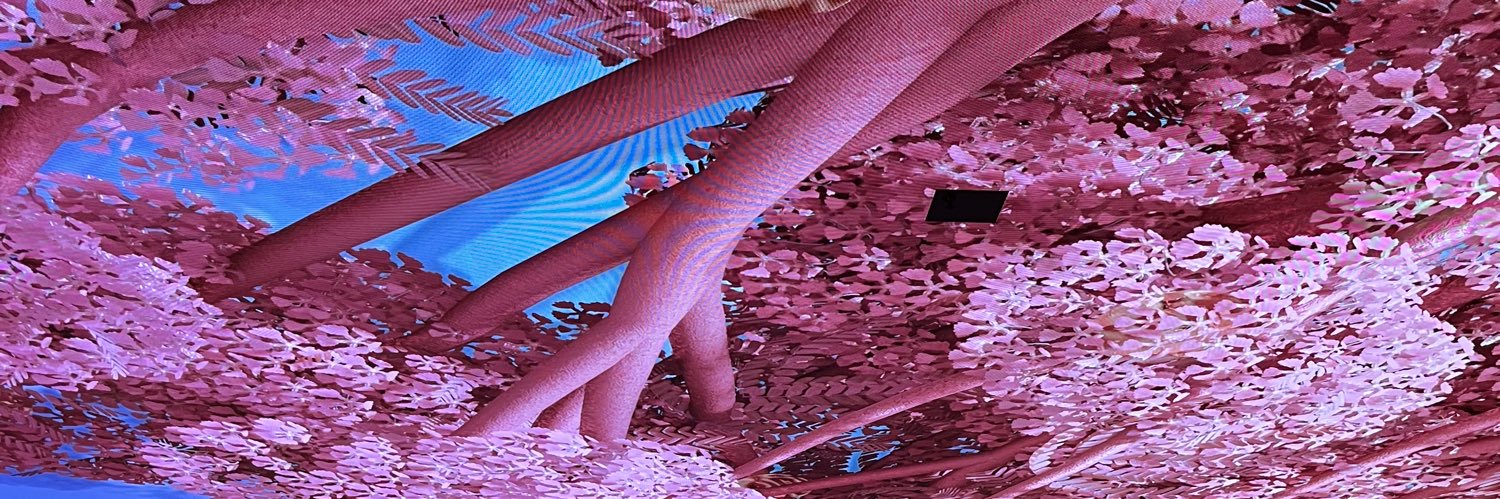 daubster0325's profile banner image