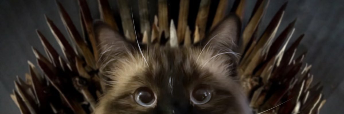 ahshitleanna's profile banner image