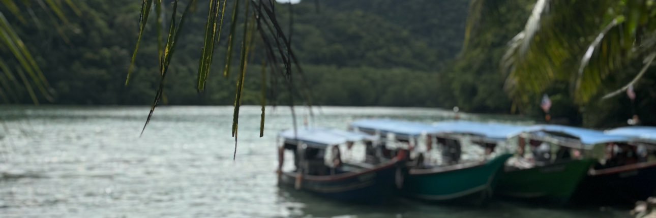 saaam__________'s profile banner image