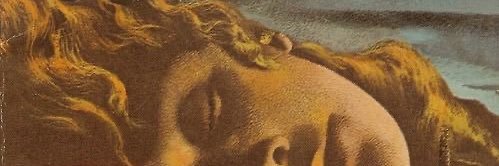 𓃠ℂⓄⒾη◬ banner