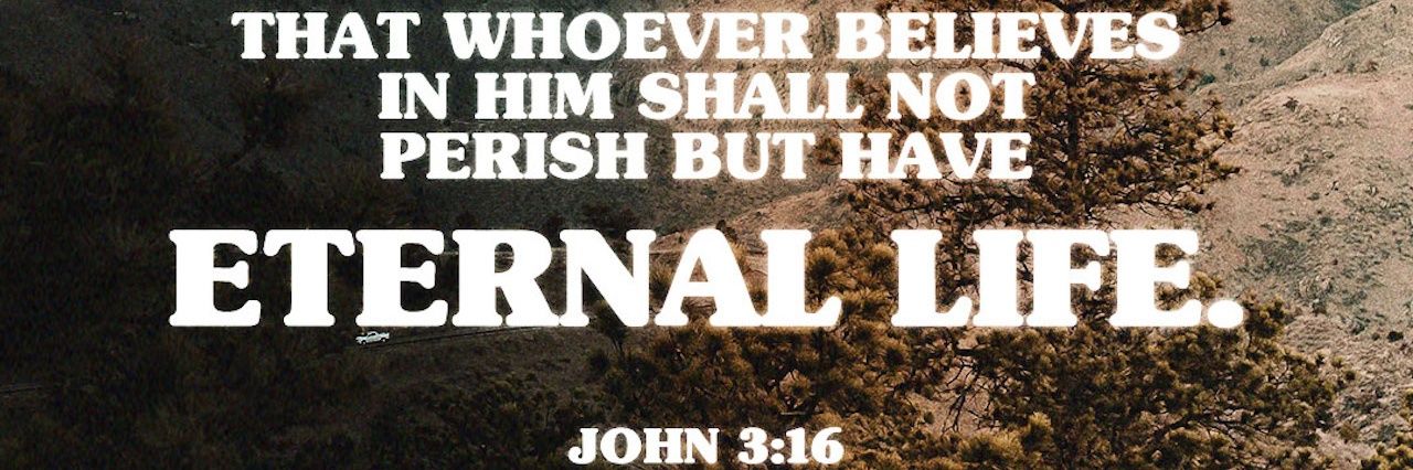 Blame the Garden Hose banner