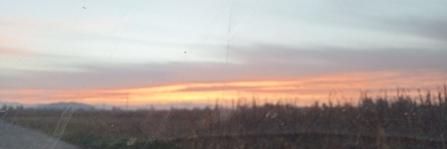 Daloi45's profile banner image