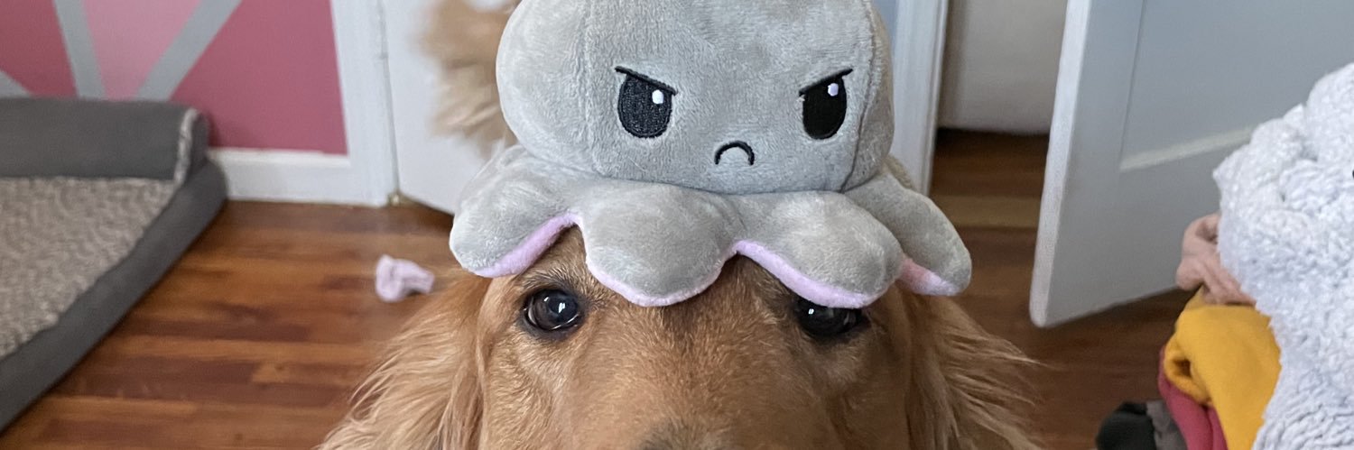 kaathyy24's profile banner image