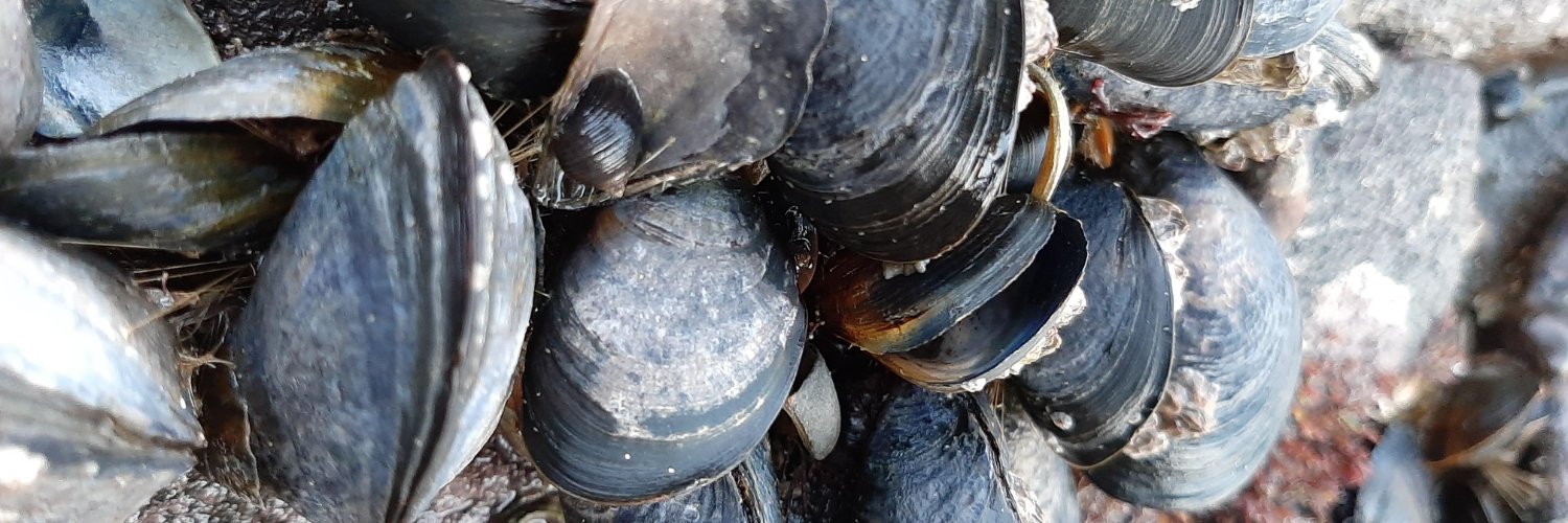 Tim Regan Lab banner