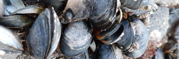 TimReganLab Profile Banner