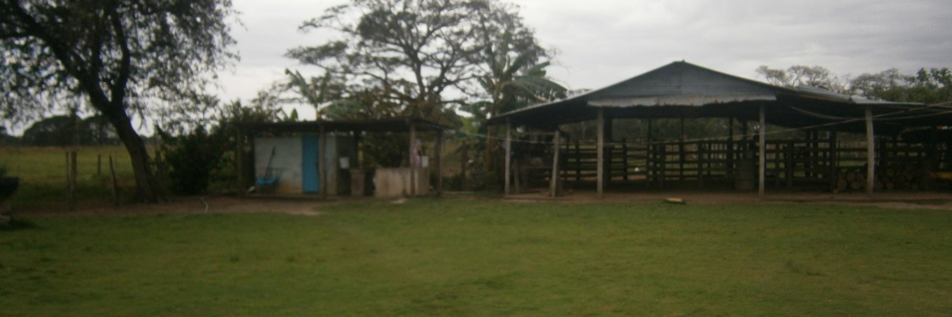 barinas2009's profile banner image