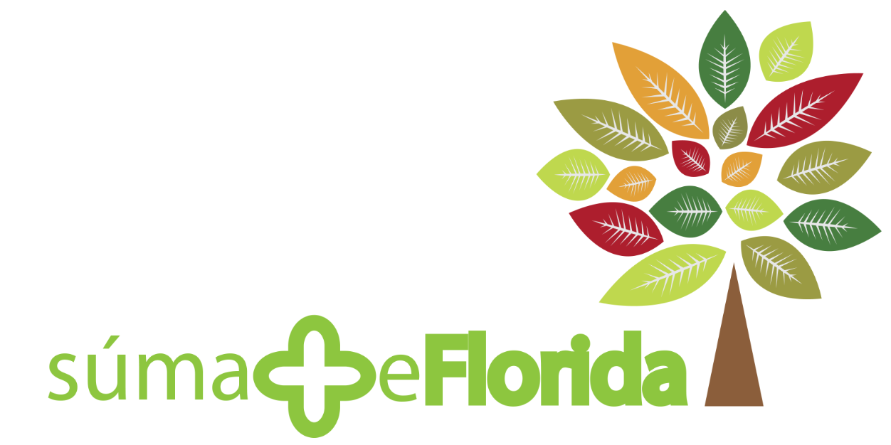 Comité Col. Florida banner