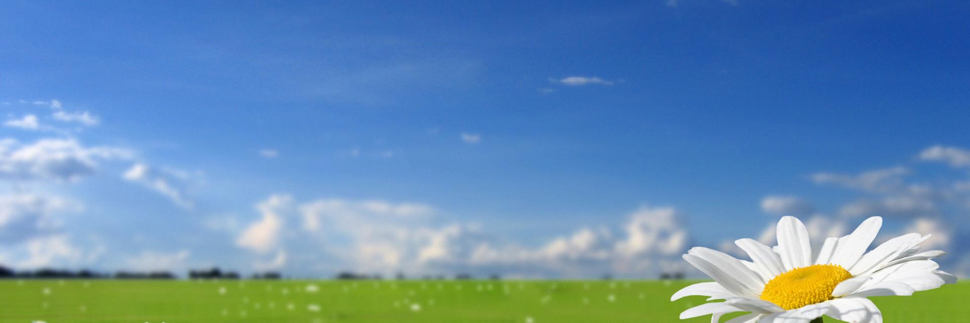 SayedIrfanAlipk's profile banner image