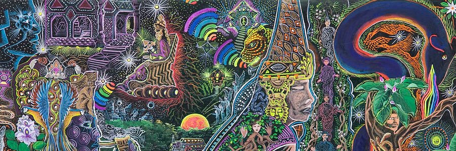 differentia's profile banner image
