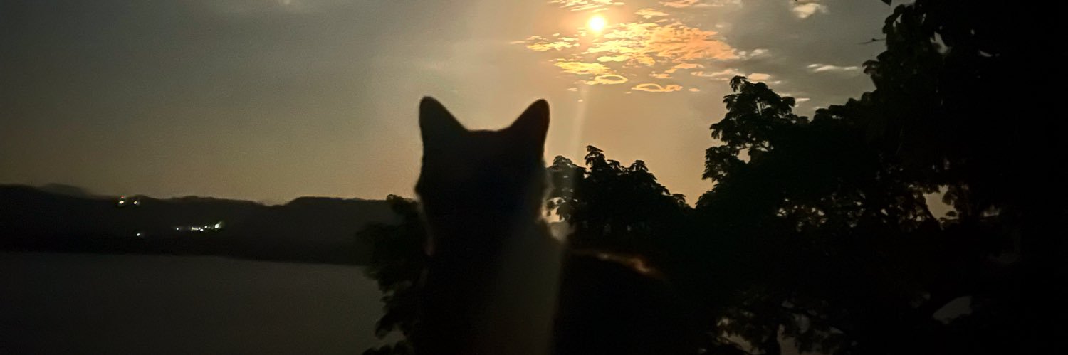 BeaDBTS's profile banner image