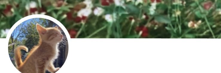 물고기2🐠🐋🐟🏴‍☠️ banner