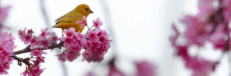 claudialg89's profile banner image