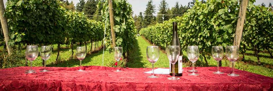 CVWineRoute's profile banner image