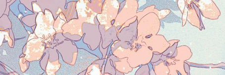 ね banner