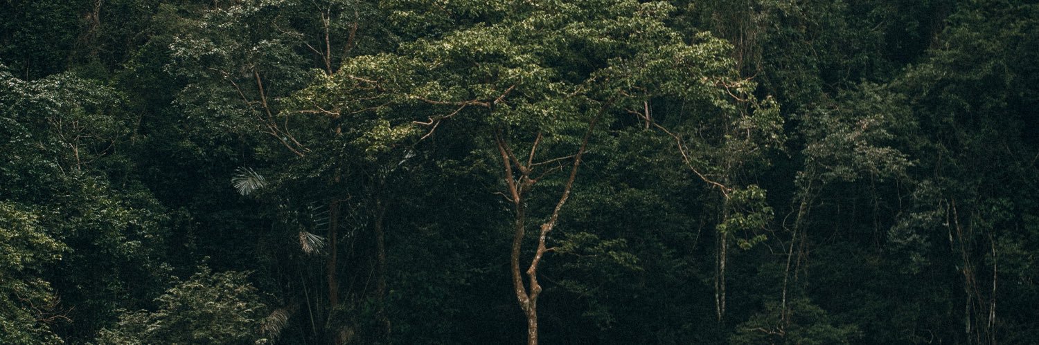 gaborf82's profile banner image