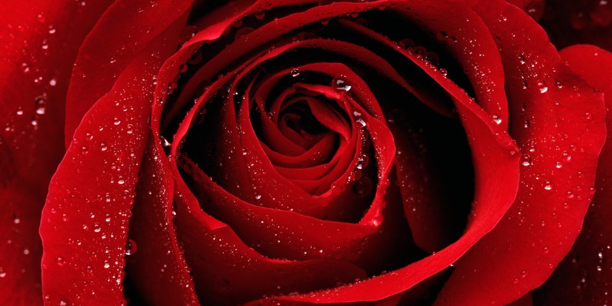 _MrsKD's profile banner image