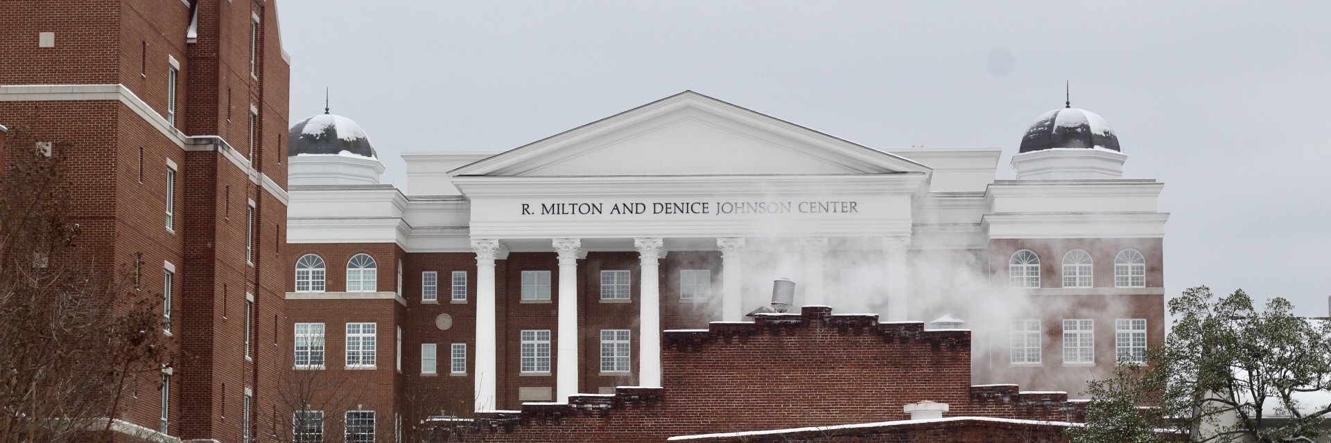 Belmont Vision banner