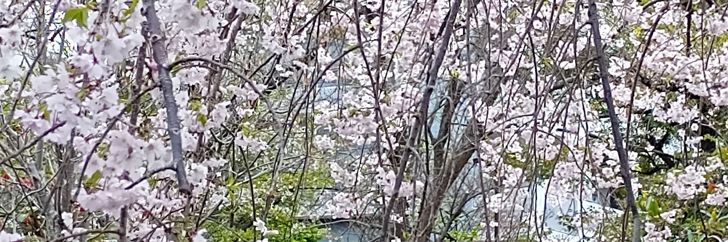 蔵虫隼人's banner