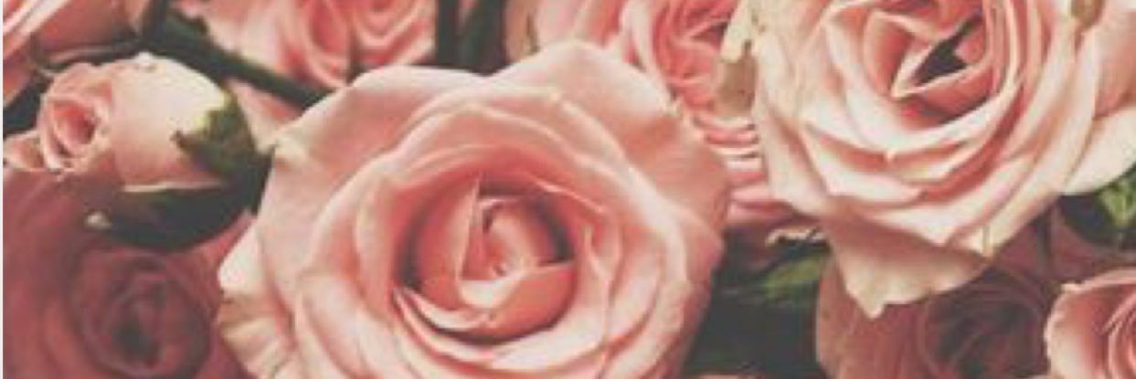 flyohmyy's profile banner image