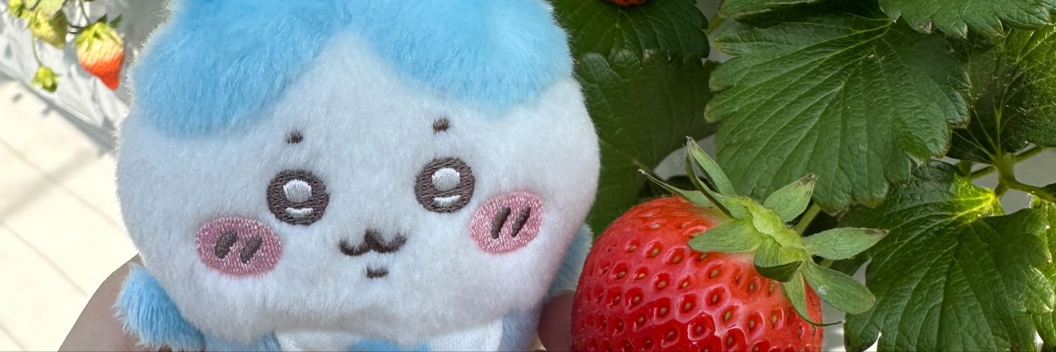 0rtx5s's profile banner image