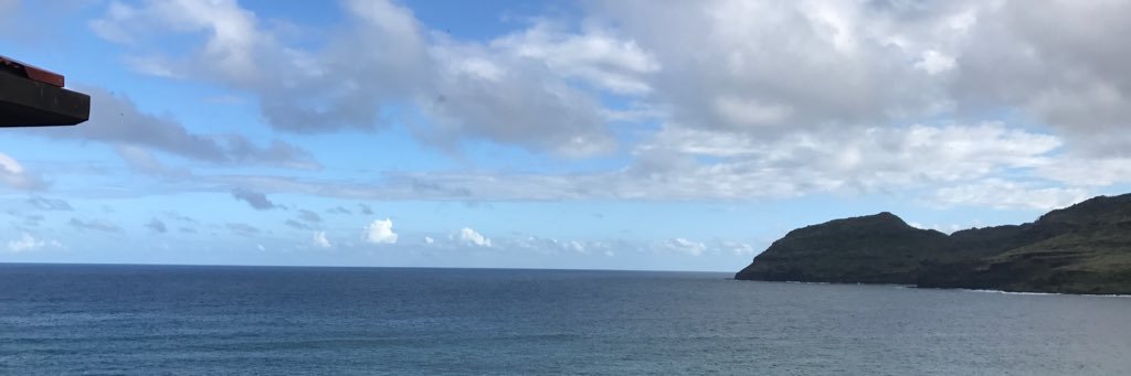 caseyhorvat's profile banner image