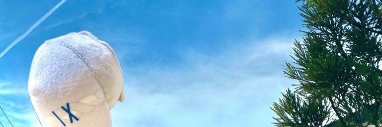 ちりぬるP🍁 banner