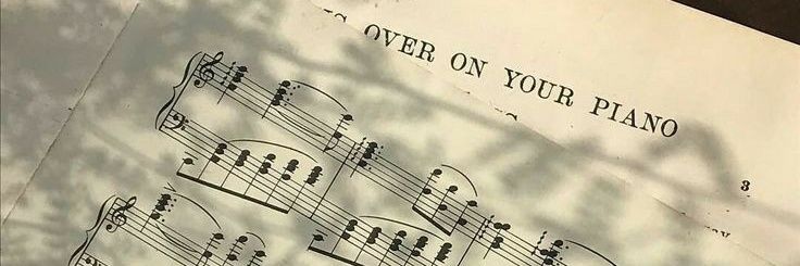 🌷(⁠´⁠ ⁠.⁠ ⁠.̫⁠ ⁠.⁠ ⁠`⁠) banner