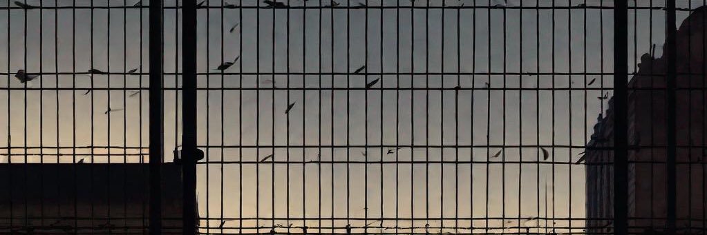 thatoneguy2109's profile banner image