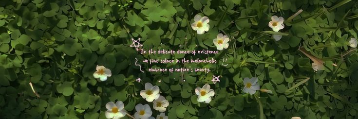 sal🐈7️⃣ banner