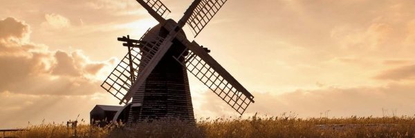 aapedjo Profile Banner