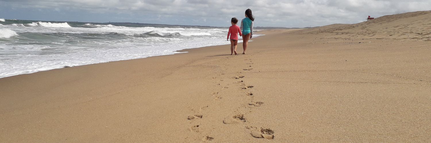 Francisco Constantín banner