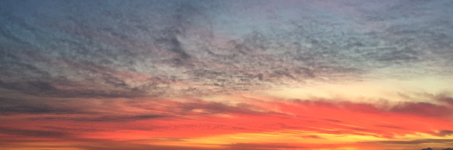 Meier Lowenthal banner