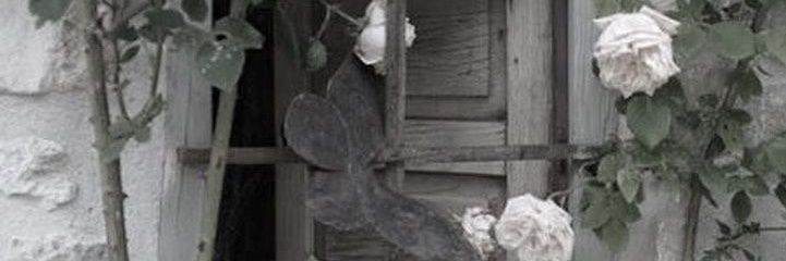 Nox_xq's profile banner image