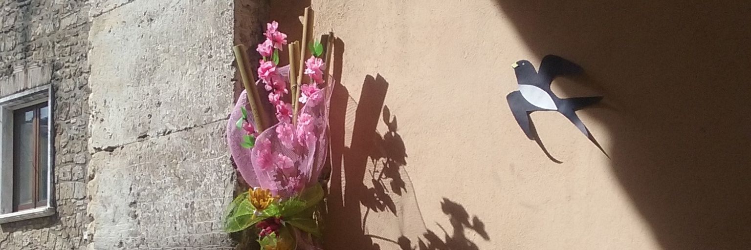 Paola T. 🌻🐢🦔🐌🎨🎭📸 banner